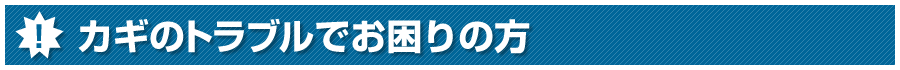 �J�M�̃g���u���ł�����̕�