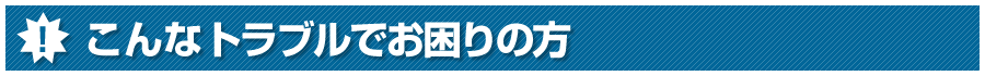�J�M�̃g���u���ł�����̕�