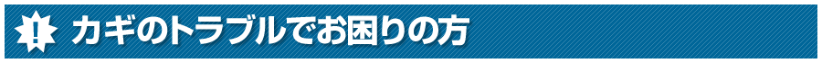 �J�M�̃g���u���ł�����̕�